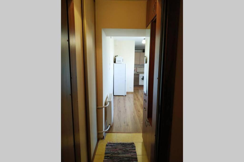 9Th Floor Amazing View Central Studio Apartment VNO Exterior foto